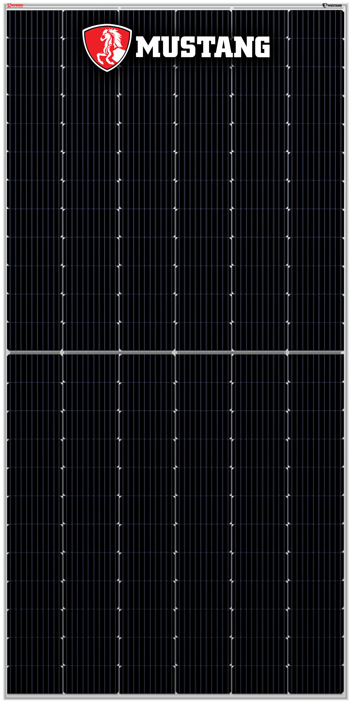 Mustang HJT Bifacial Module